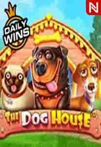 The Dog House™